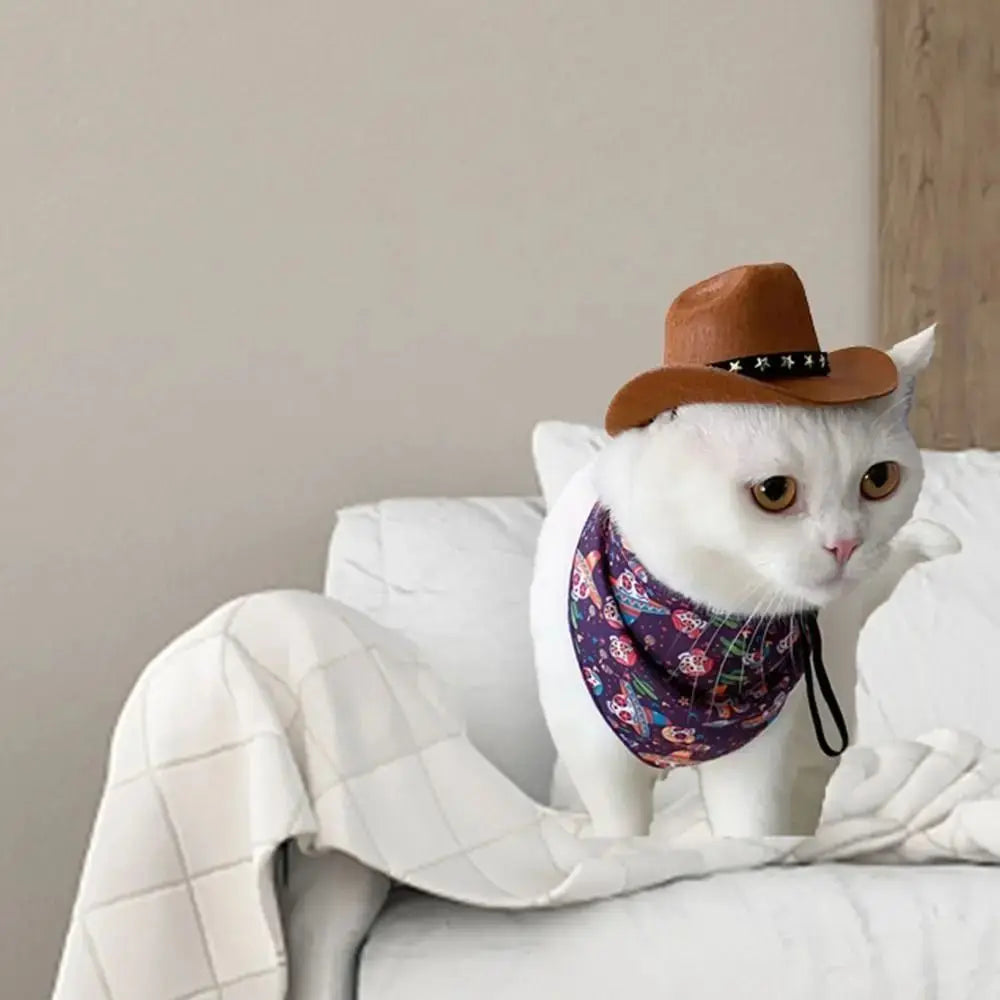 Adjustable Funny Pet Dog Hat