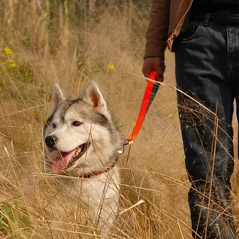Dog Leash Spring Short