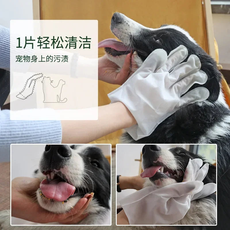 6PCS Cat Dog Disposable Glove