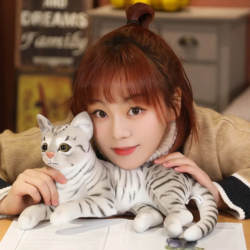 29cm Simulation American Shorthai &Siamese Cat