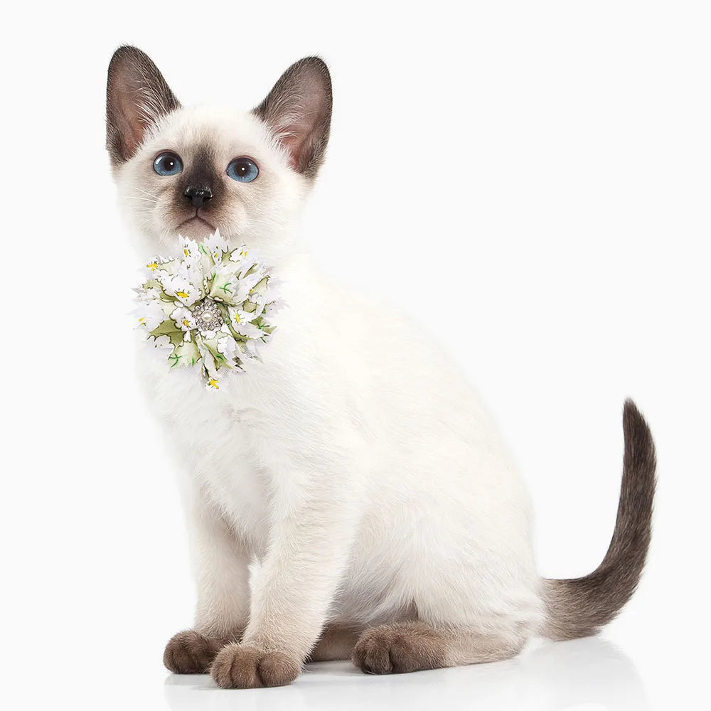 10PCS Adjustable Cat Dog Flower Bowties