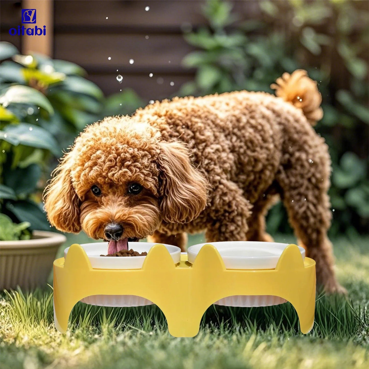 i Elevated Cat Bowls