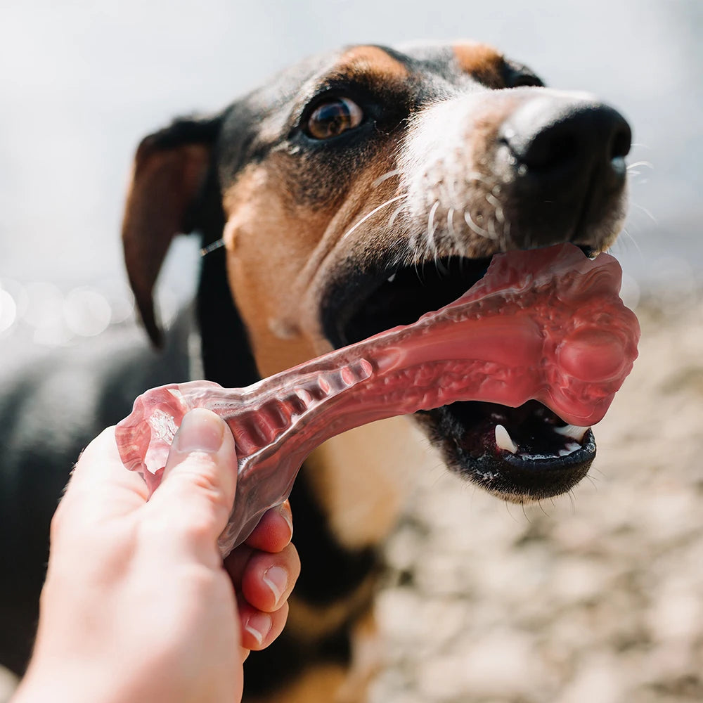 Dog Toys Aggressive Chewers