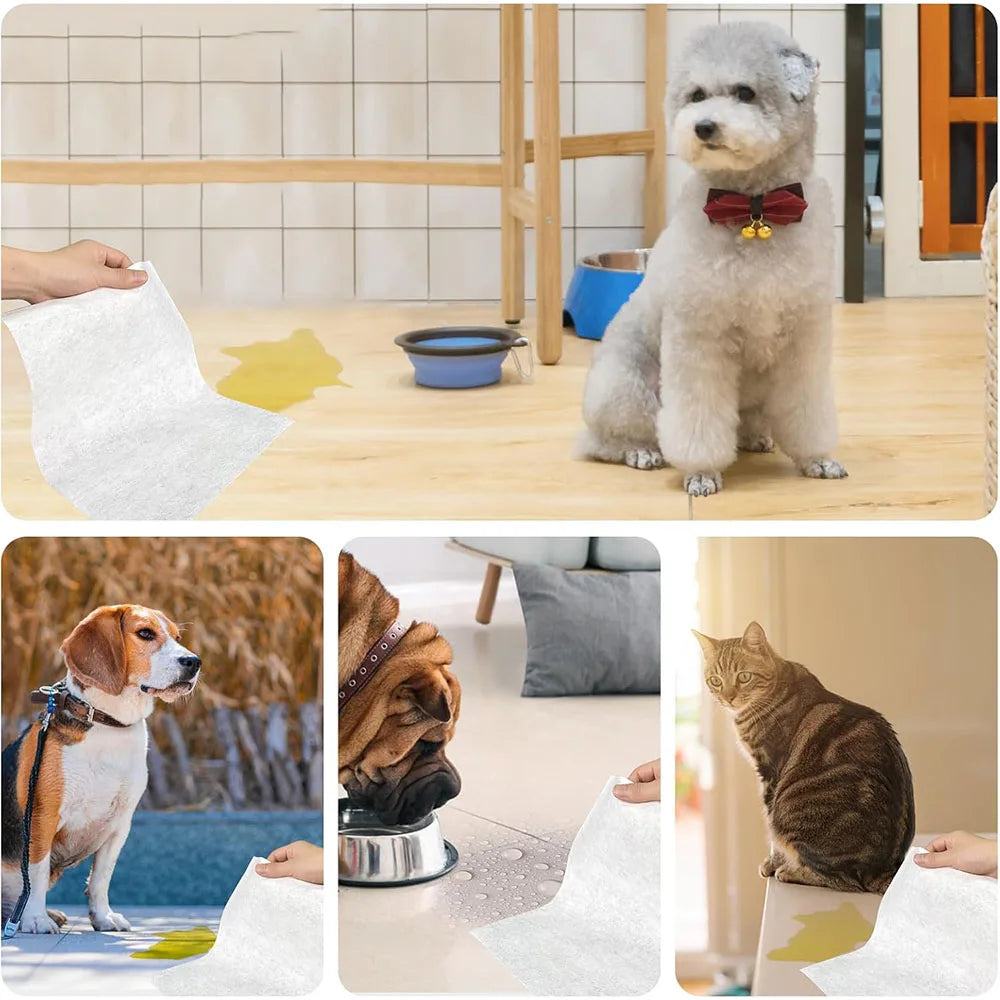 100PCS/Bag Dog Urine Absorbing Paper