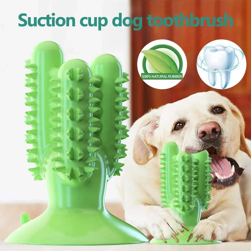 NEW Dog Toothbrush Toy