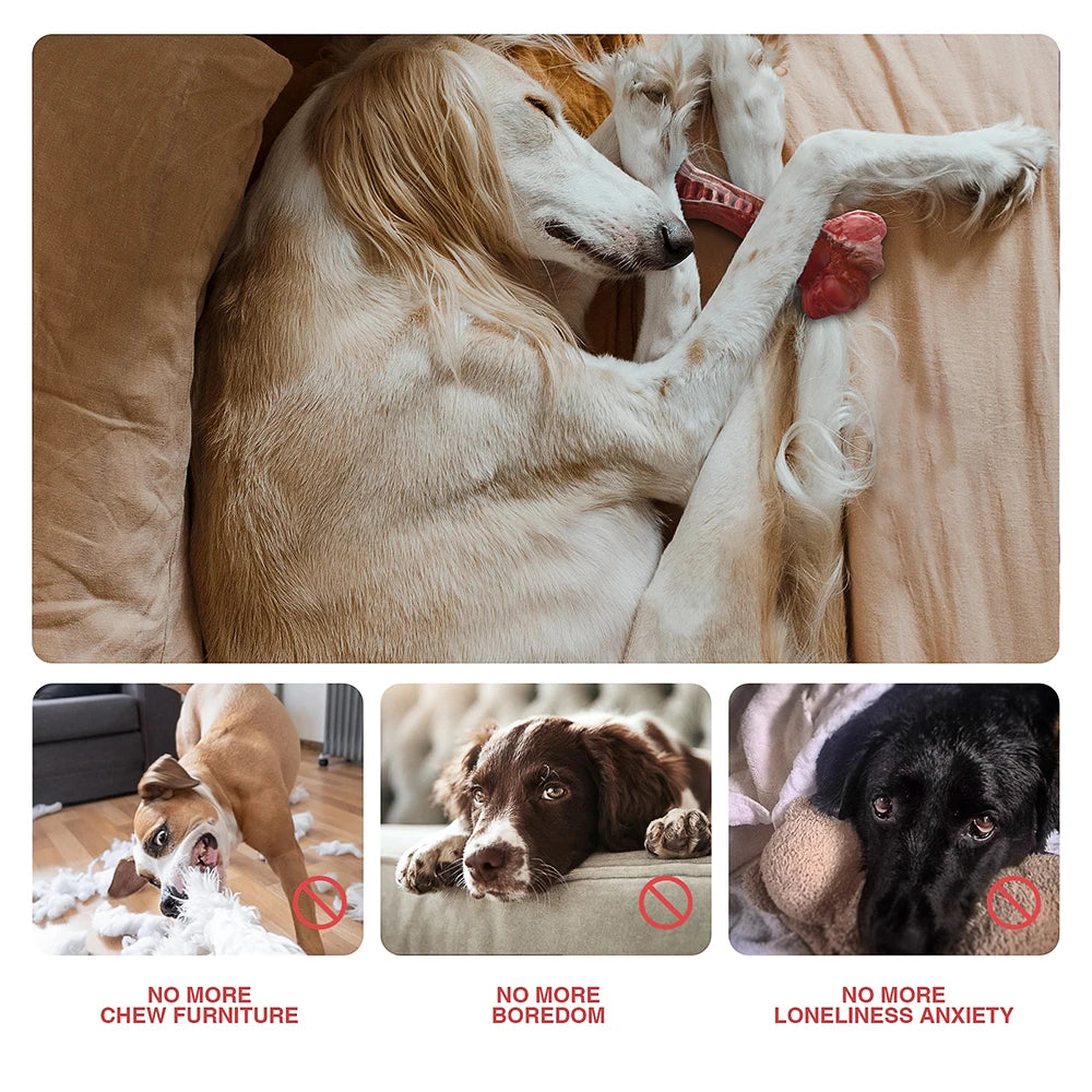 Dog Toys Aggressive Chewers