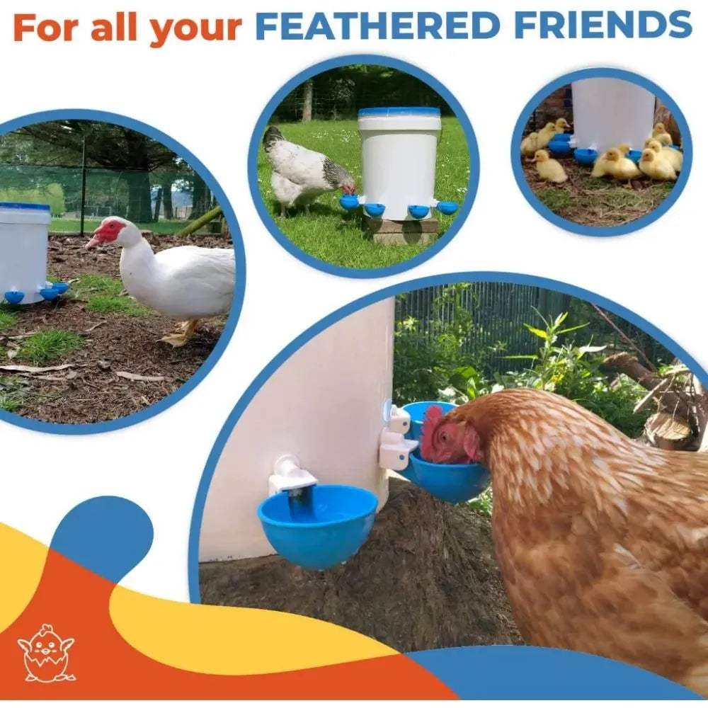 5PCS Poultry Kit
