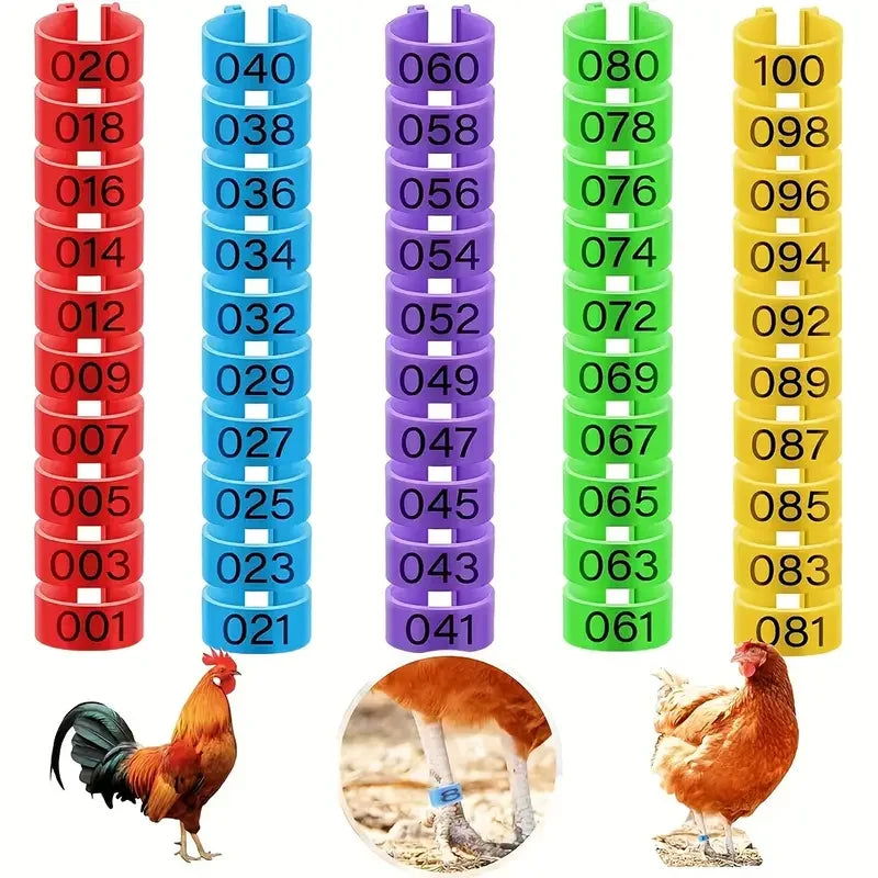 100 pcs Chicken Foot Rings Label