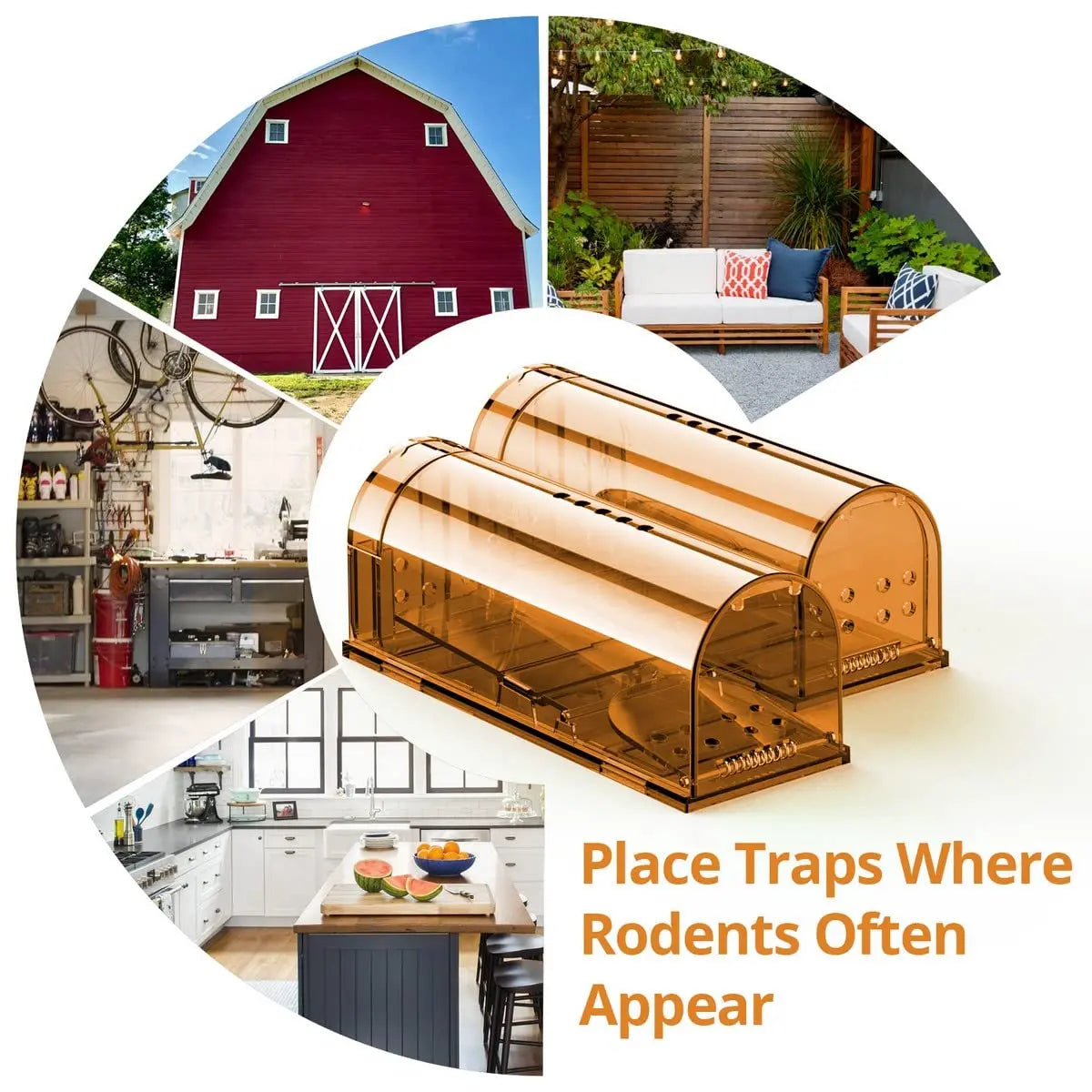 1Pc Mouse Trap Cage