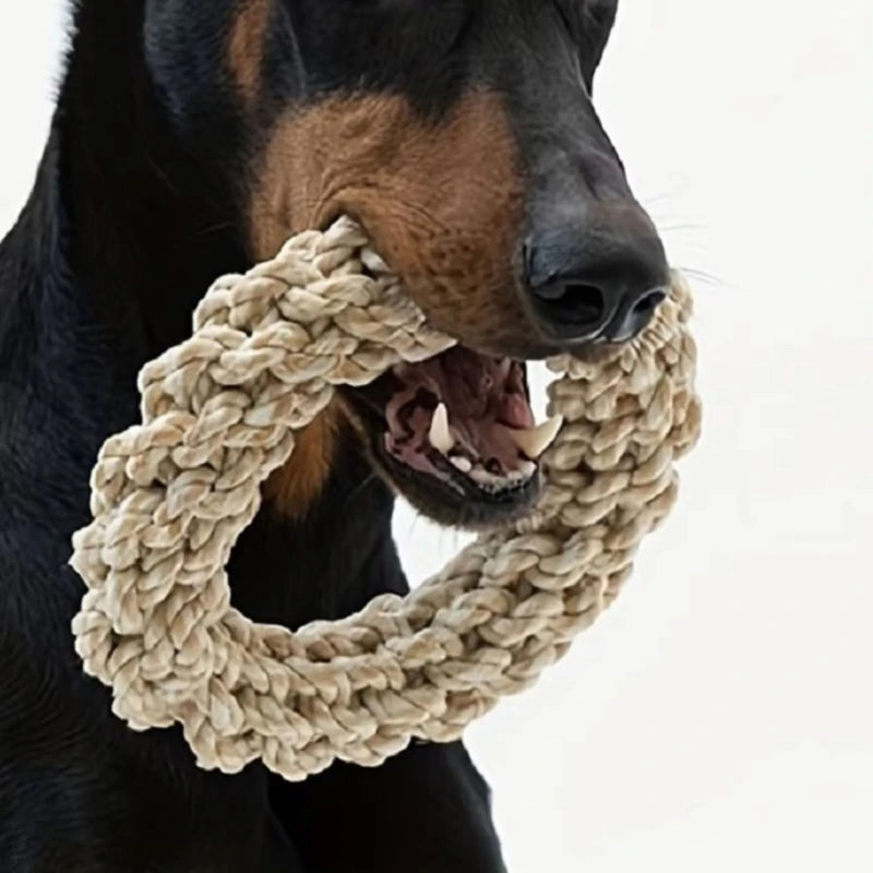 Pet Dog Rope