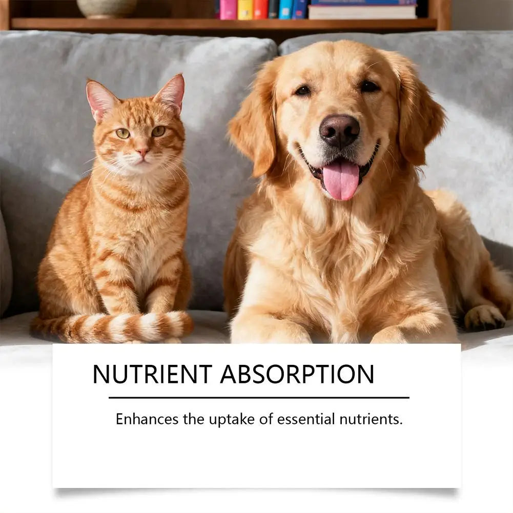 Pet Nutrition Supplement Probiotic