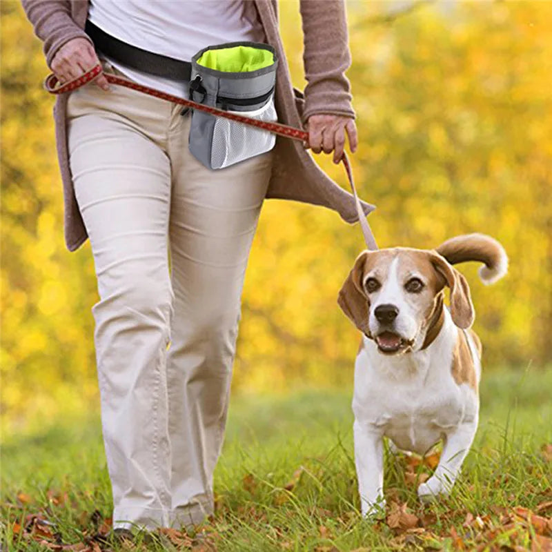 Pet Dog Snack Bag