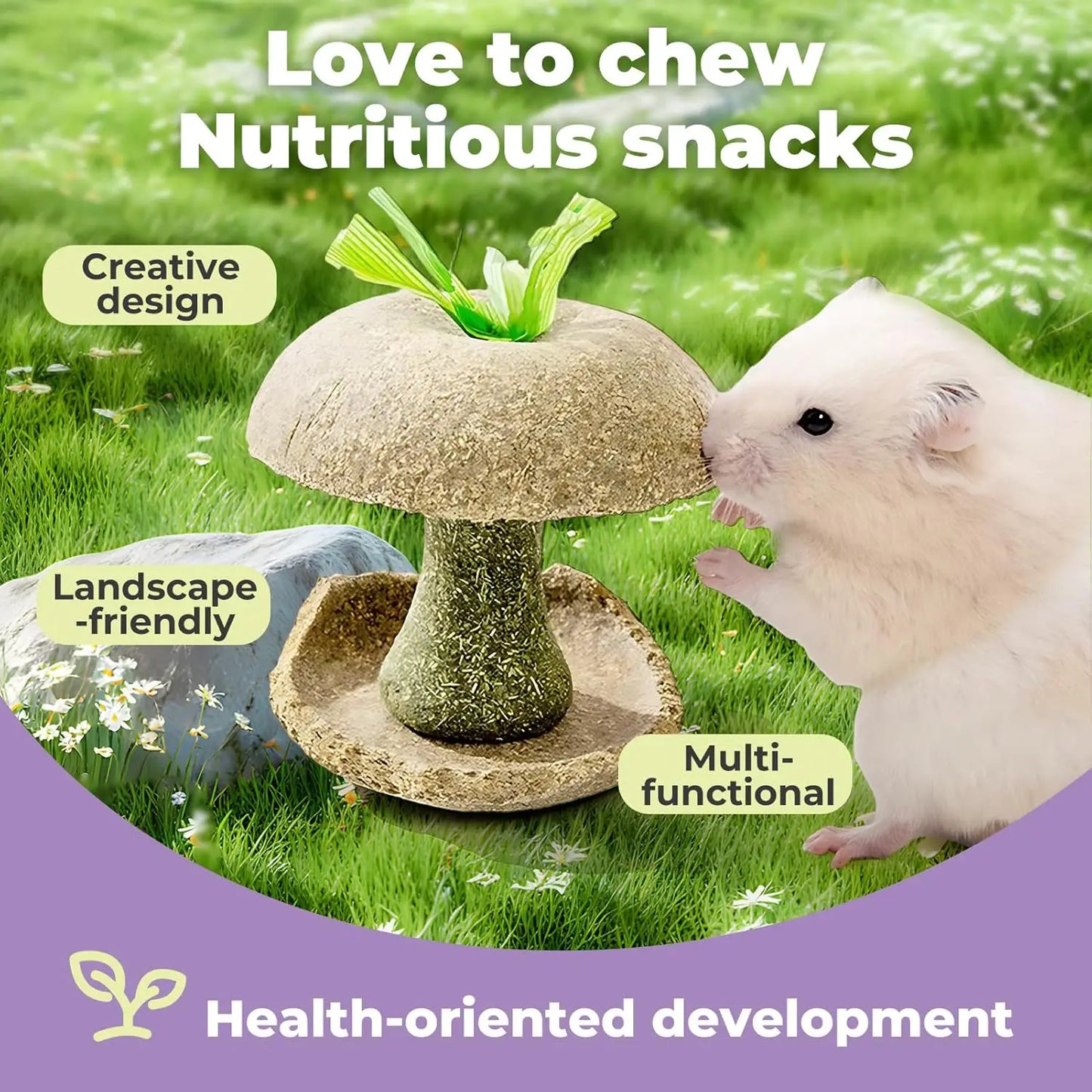 Apple Core Shaped Hamster Chew Toy - Natural Small Pet Dental Treat for Guinea Pig, Rabbit, Chinchilla, Rat