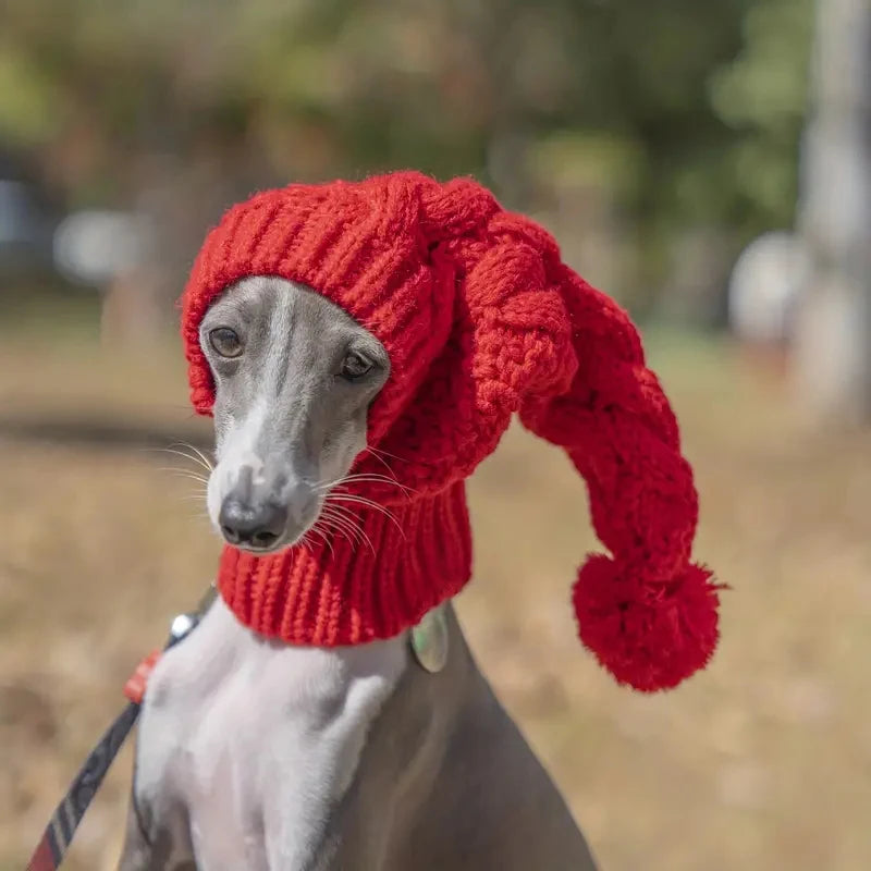 Hand knit winter wool greyhound large dog beanie