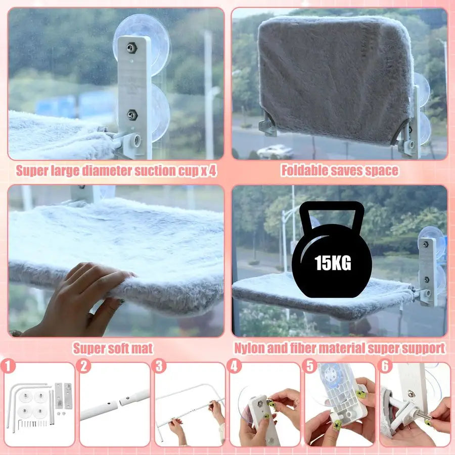 Pcs Kitten Starter Kit for Indoor Cats