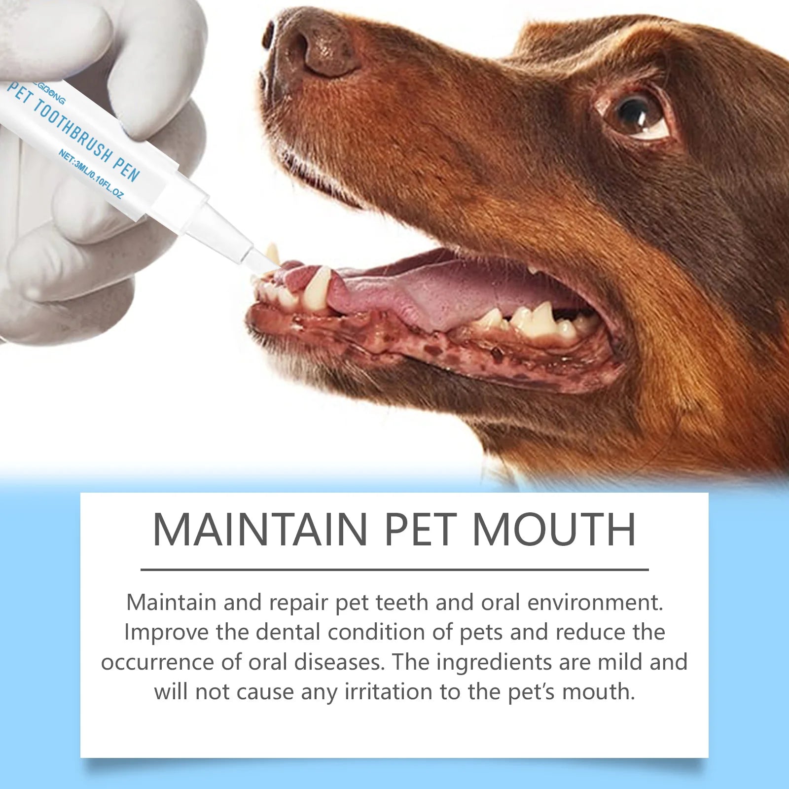 Dog Cat Pet Teeth Cleaning