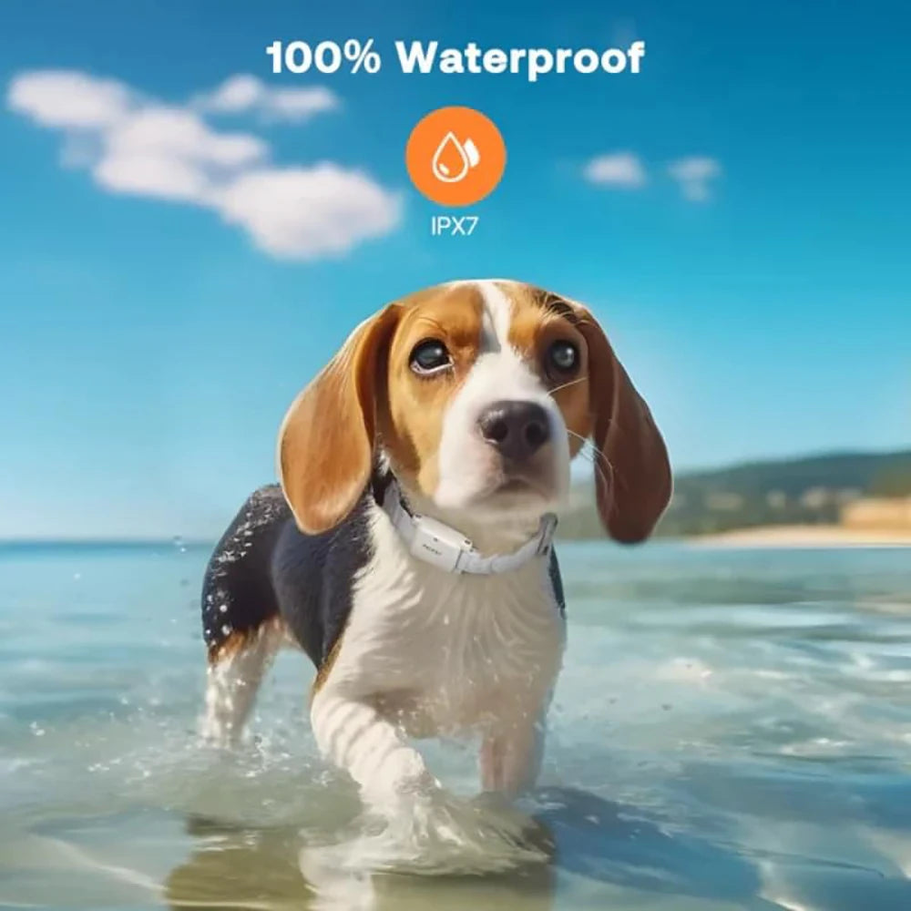 Dog Shock Collar for Small Dogs