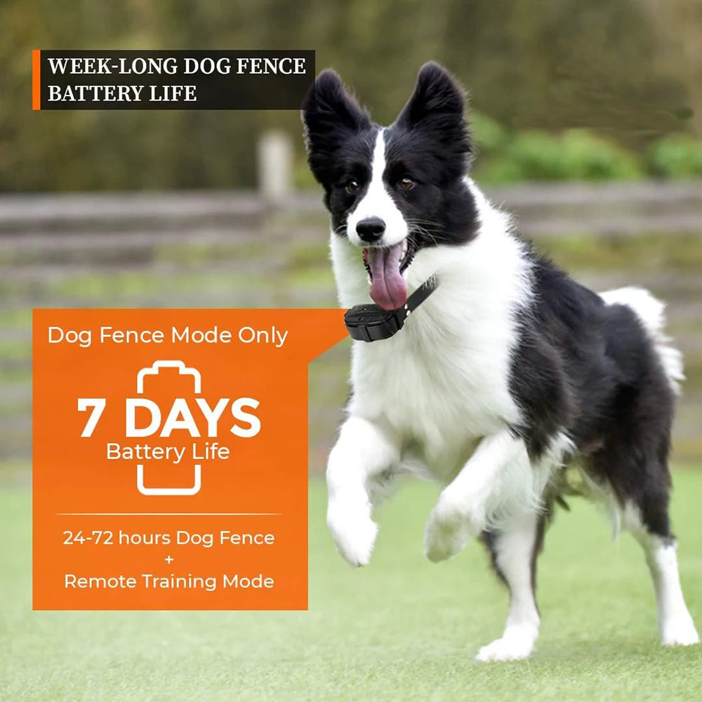 Wireless Dog Fence System