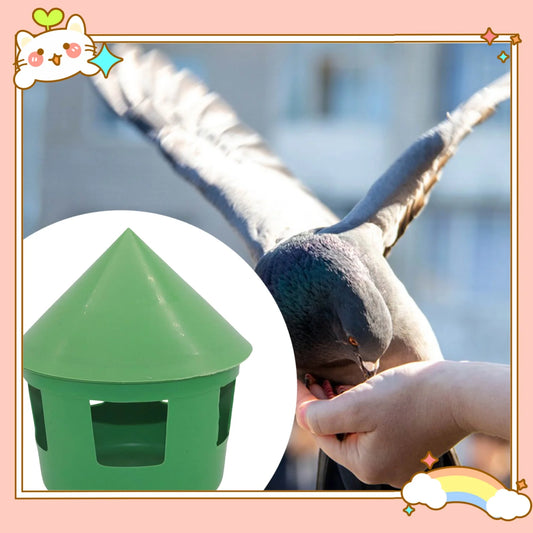 Pigeon Feeder House