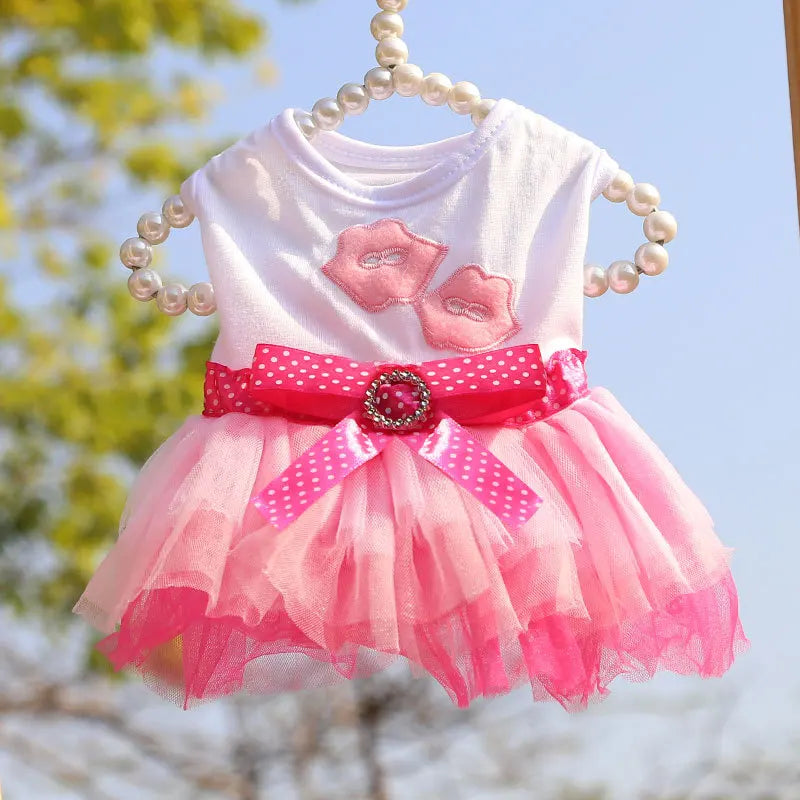 Spring Dog Lace Dress