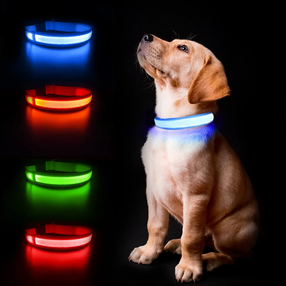 Luminous dog collar