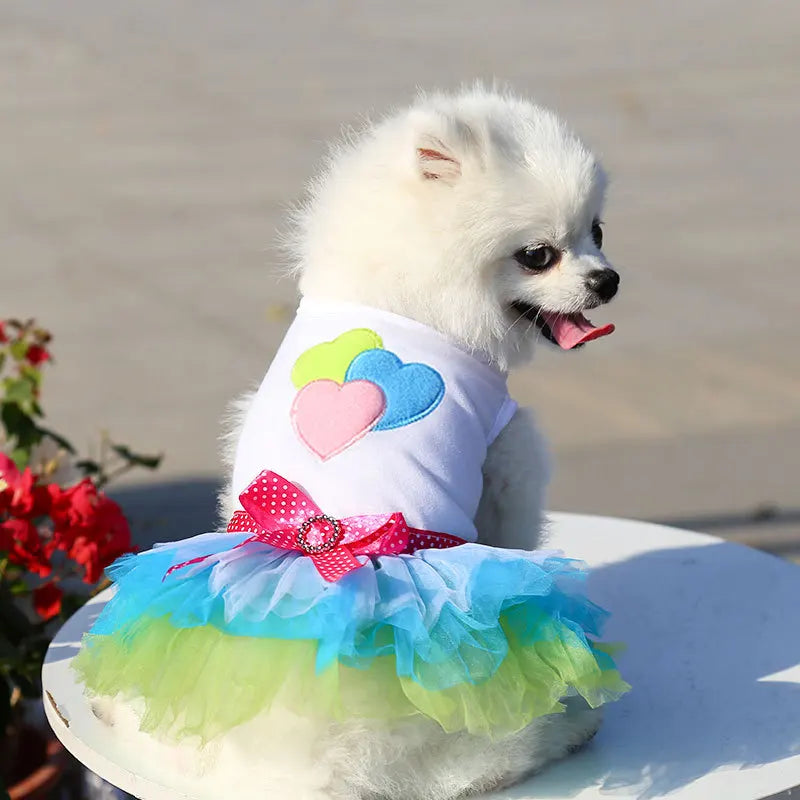 Spring Dog Lace Dress