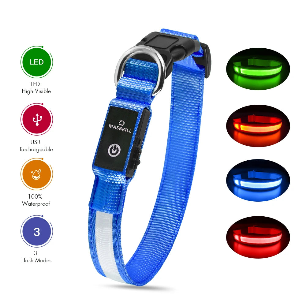Luminous dog collar