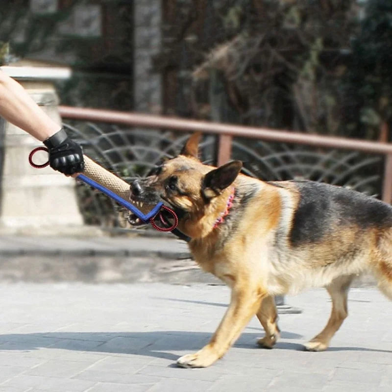 Interactive Dog Toy