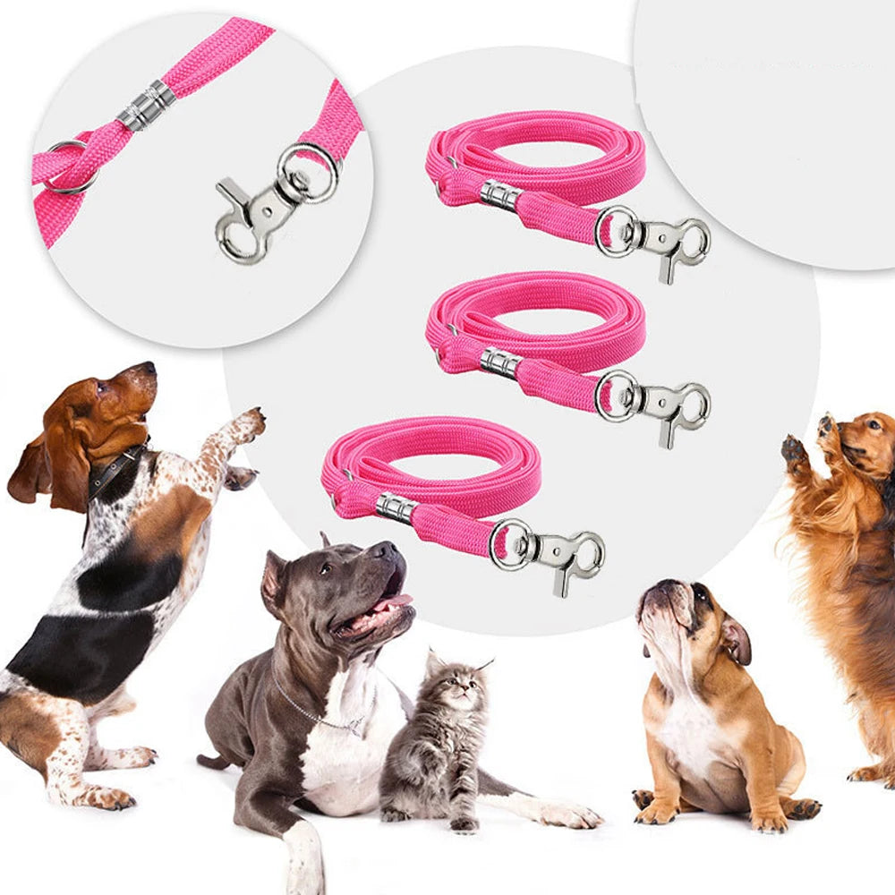 Pet Noose Loop Lock Clip Rope