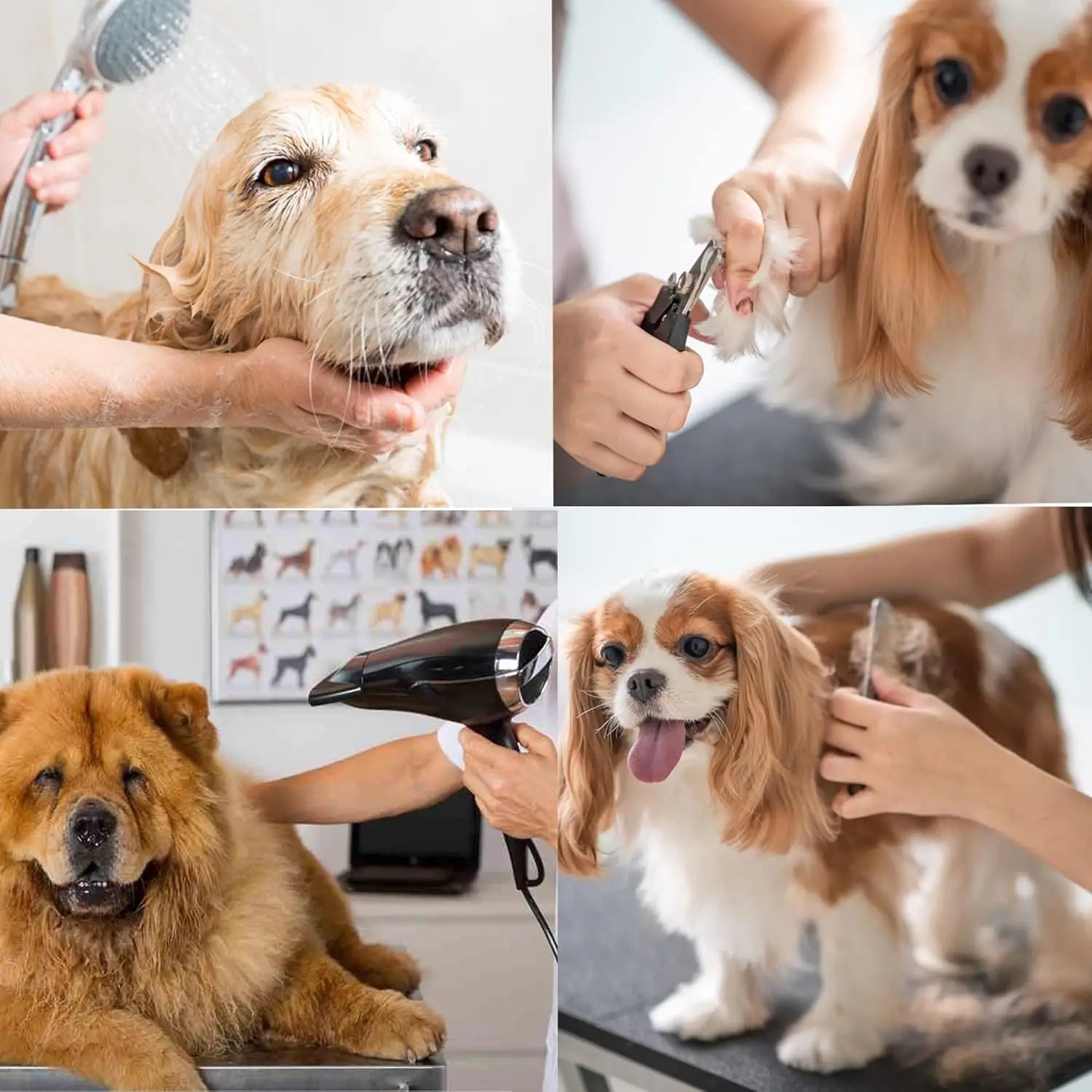 Lift Pet Grooming Table Heavy Duty Professional X-Type






 Electric Lift Dog Grooming