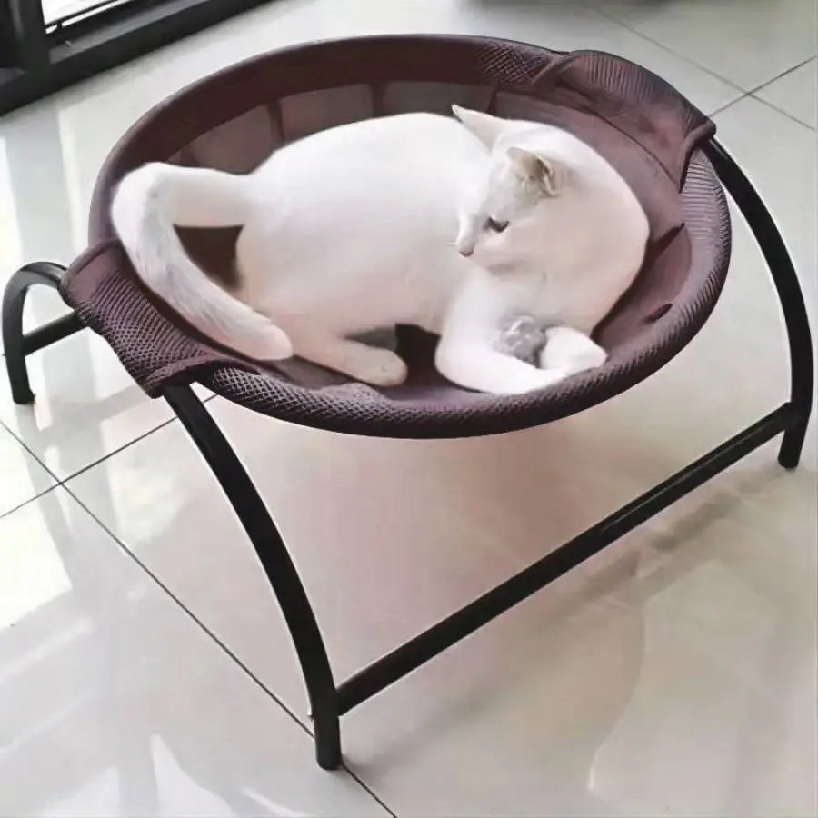 Cat Hammock