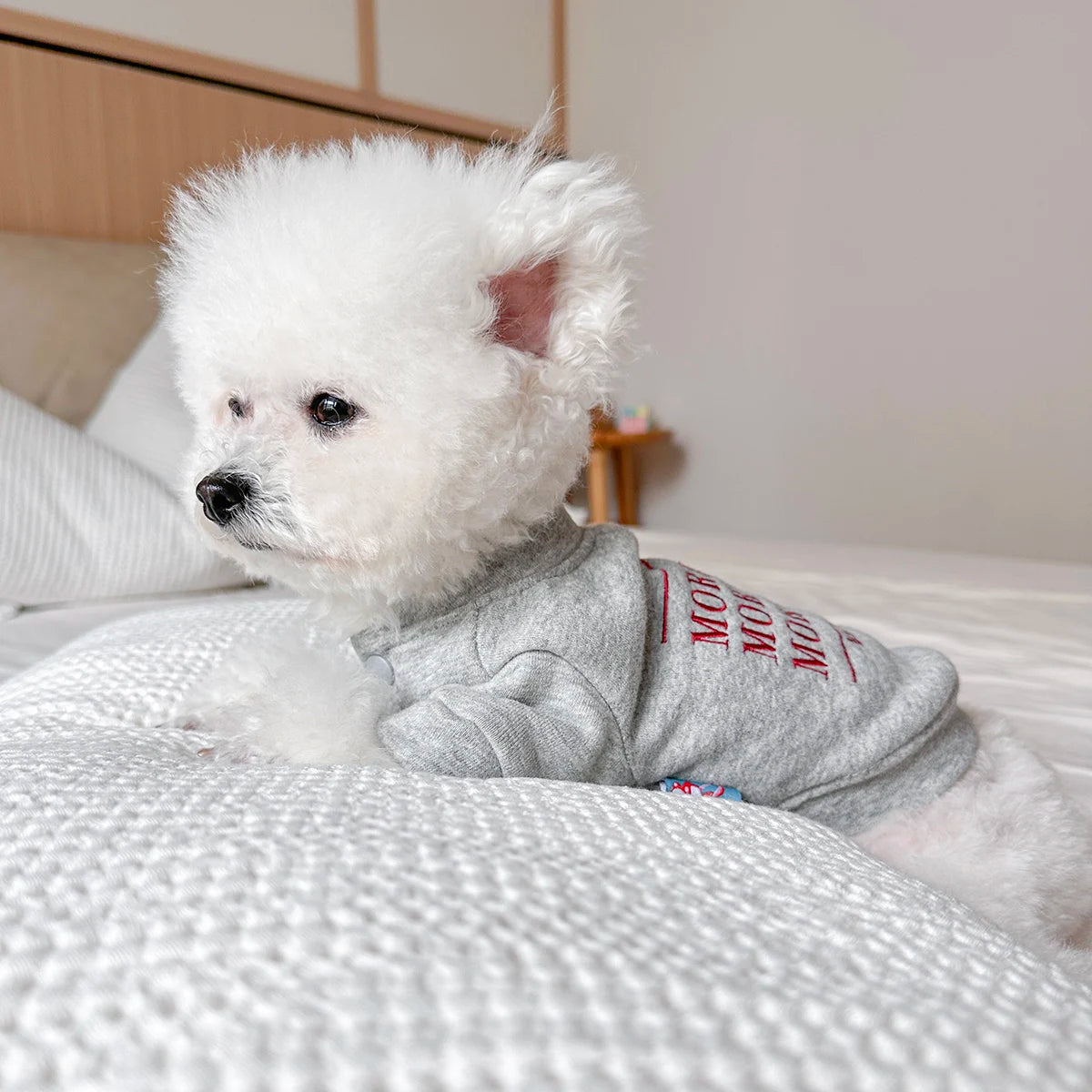 1Pc Pet Clothes Dog Cat