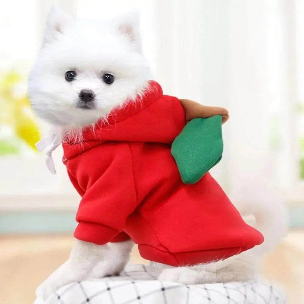 Cute Dog Hoodie