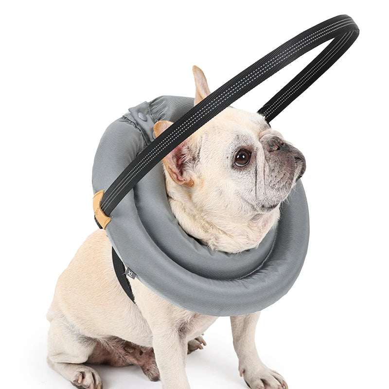 Blind Dog Collar