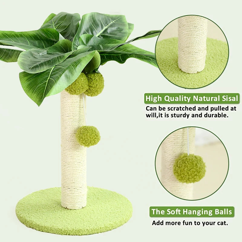 Cat Scratching Post