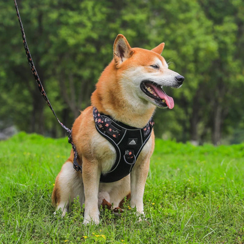 Dog Harness Traction Vest