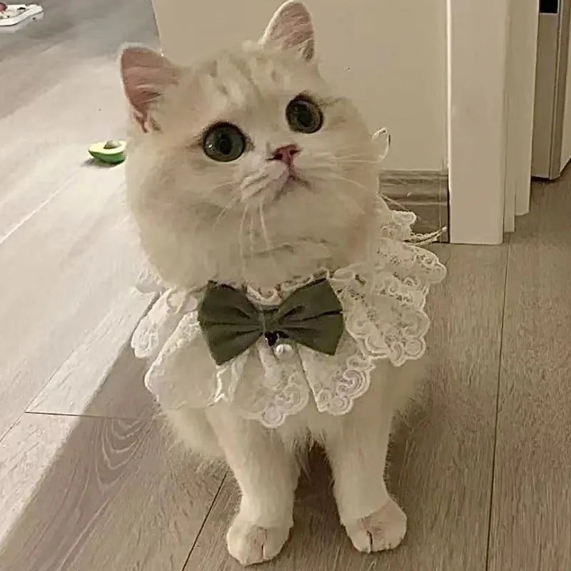 Cute Cat Bow Collar Lace