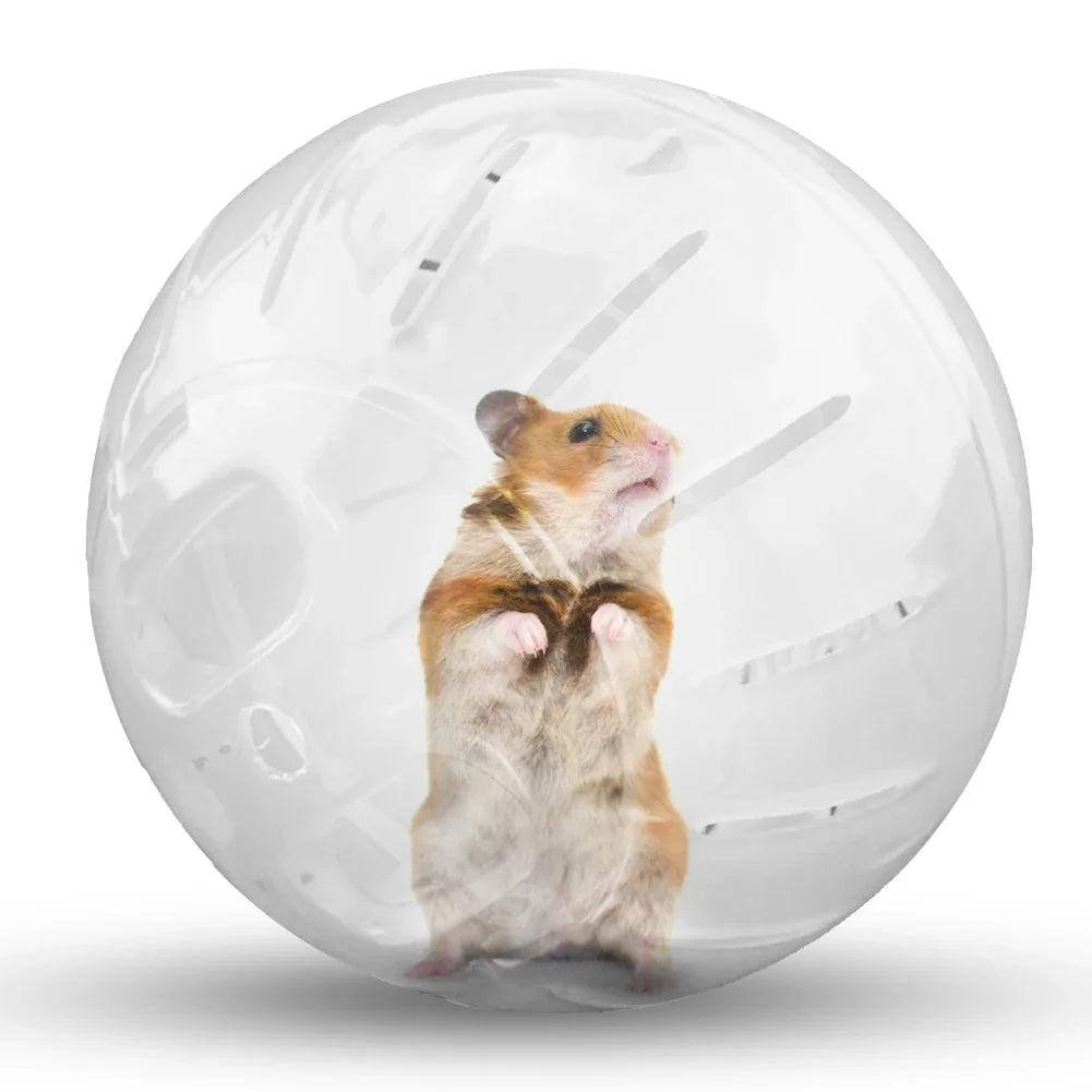 10/12cm Hamster Sport Ball