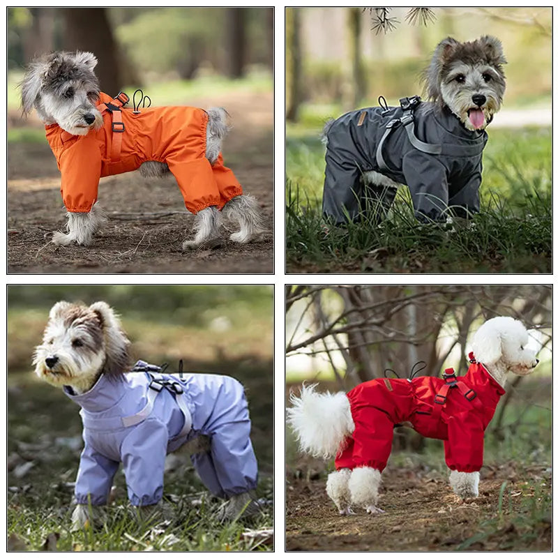 Dog Raincoat With Harness