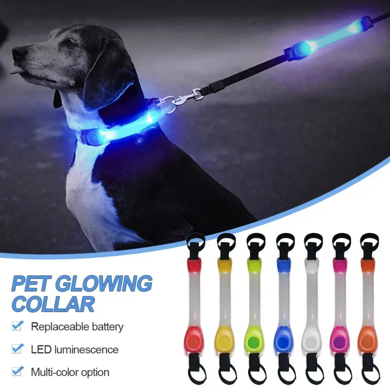 Waterproof Dog Anti-Lost Safety Glowing Collar