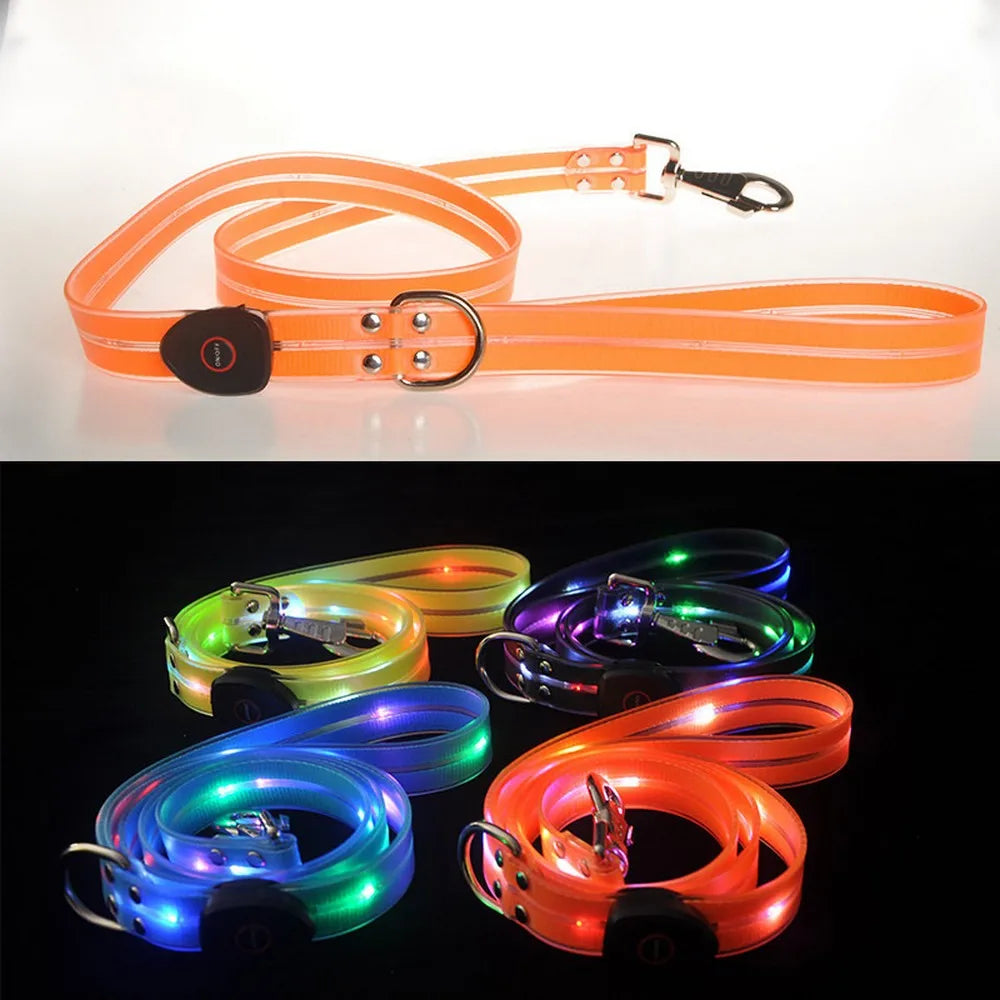 Pet Dog LED Light UP Leash