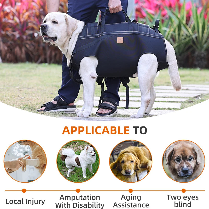 Multifunctional Pet Dog Carrier