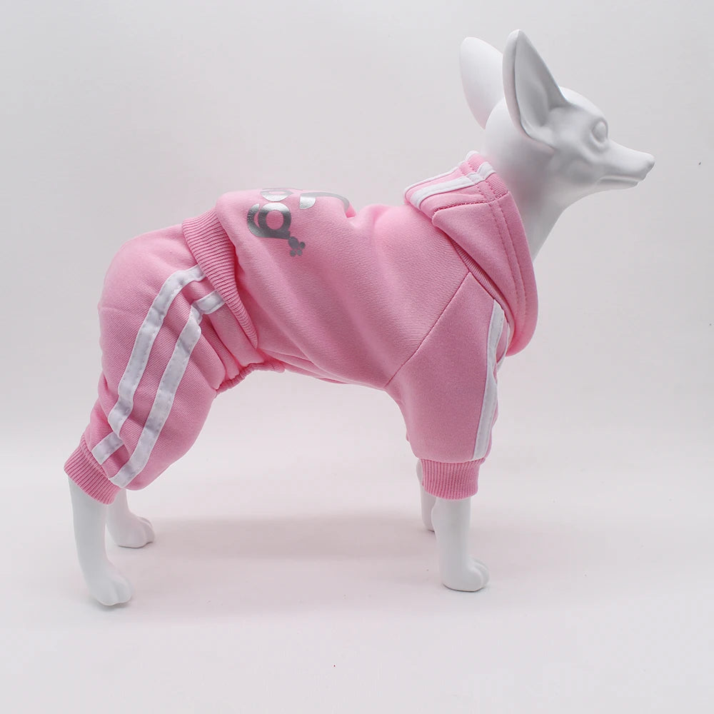 Brand Design Adidog Clothing