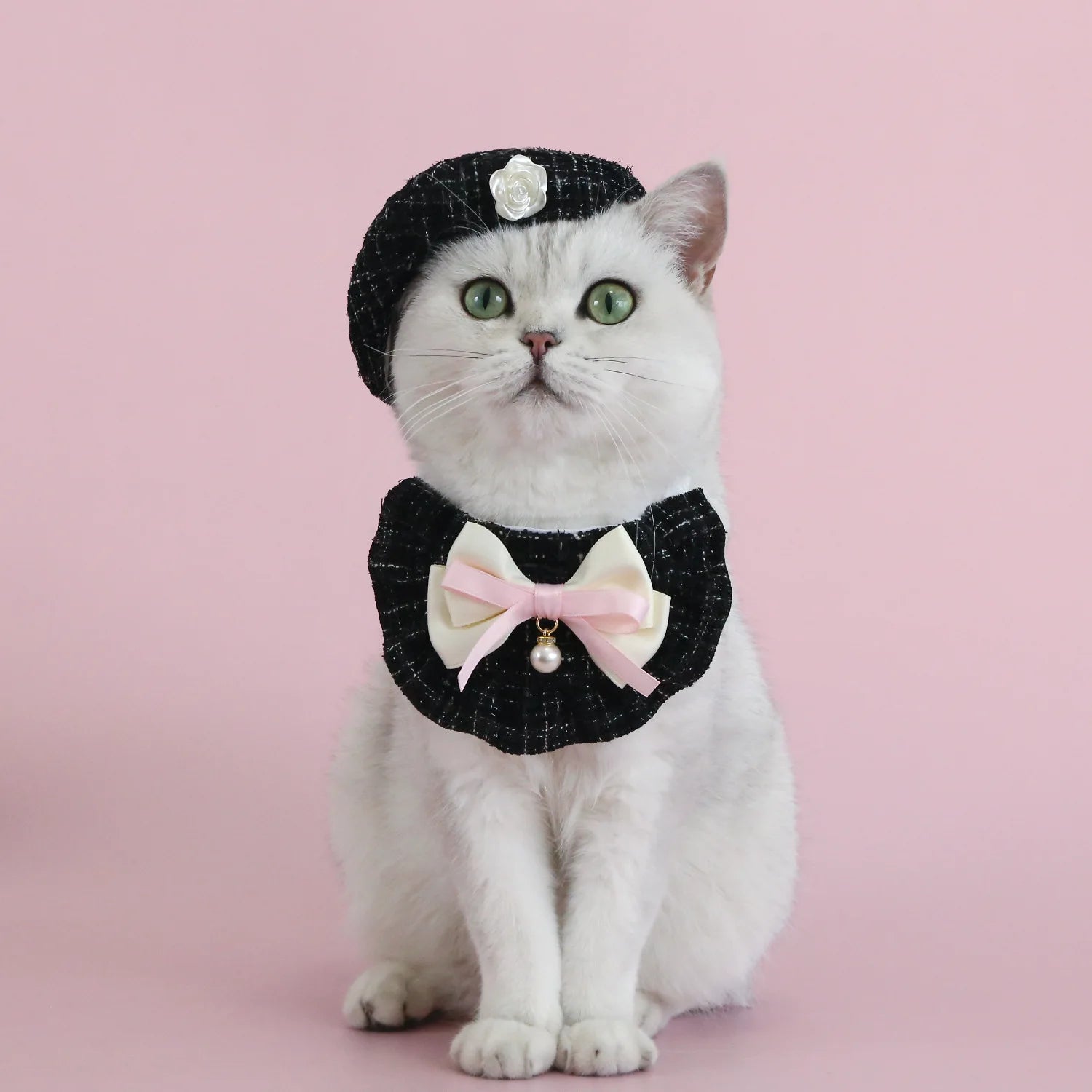 1pc Elegant Pet Princess Outfit