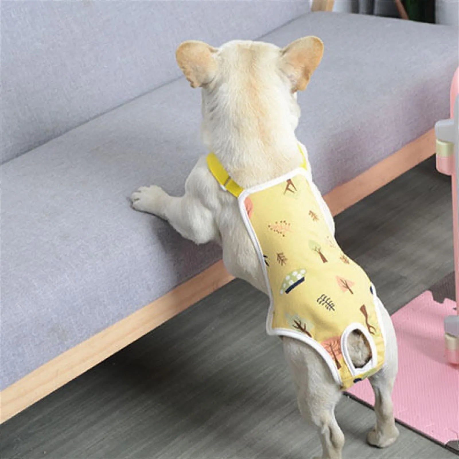 Unisex Pet Physiological Pants