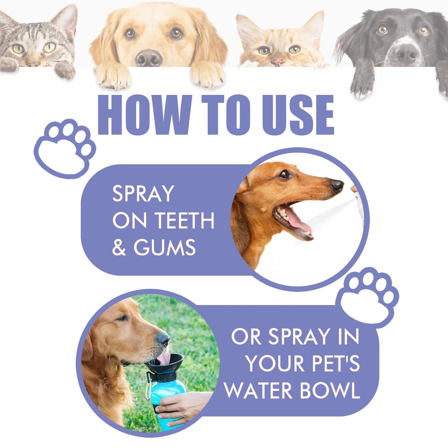 Pet Dental Spray for Dogs and Cats