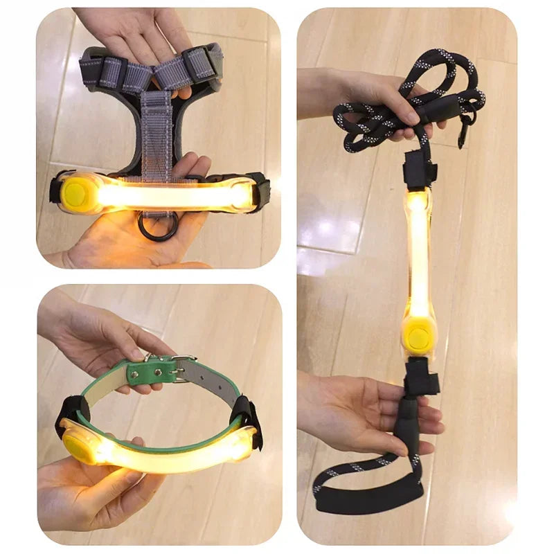 Waterproof Dog Anti-Lost Safety Glowing Collar