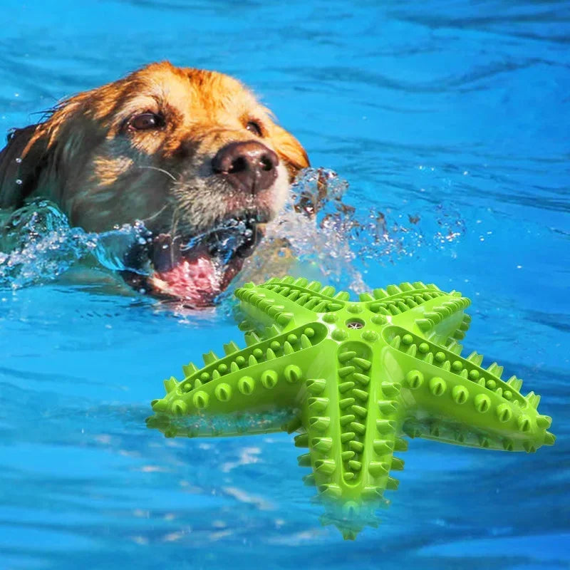 Starfish Dog Toy