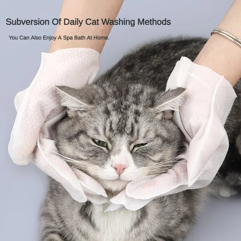 6pcs Pet Disposable Glove