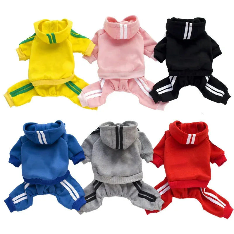 Brand Design Adidog Clothing